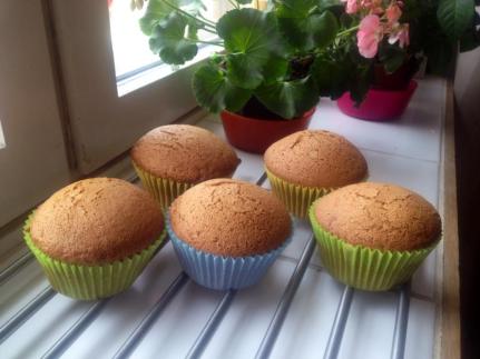 10370907_10152510892447140_5369526293293788695_n